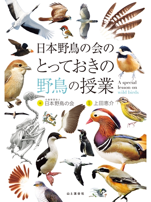 日本野鳥の会作の日本野鳥の会のとっておきの野鳥の授業の作品詳細 - 貸出可能